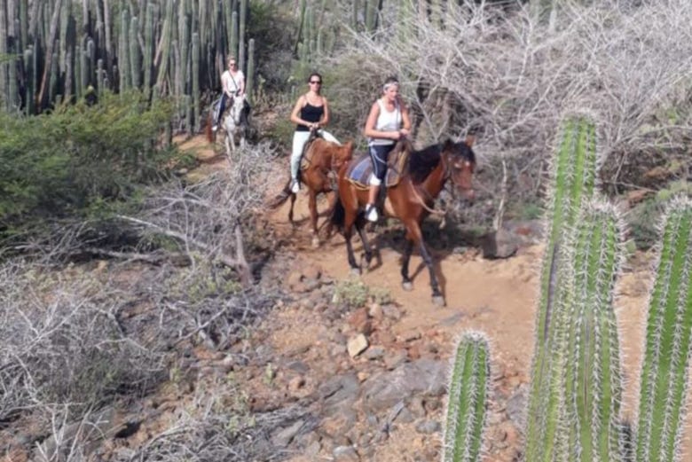 Tour a cavallo del nord di Aruba