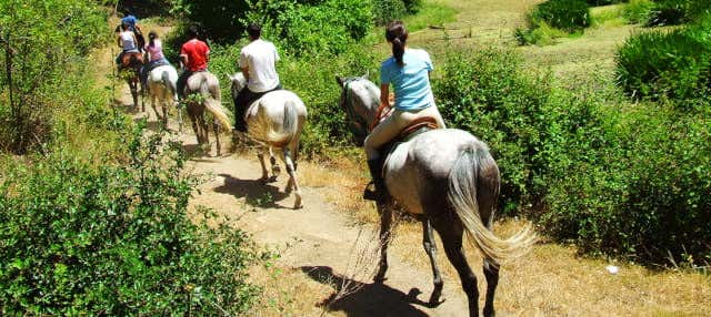 Giro a cavallo del nord di Aruba