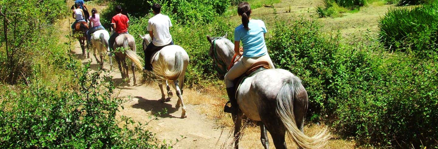 Giro a cavallo del nord di Aruba