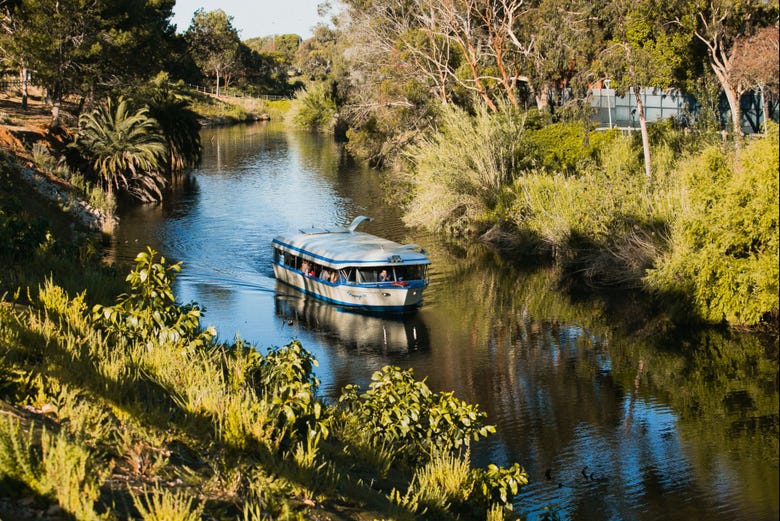Cruising on the Torrens River