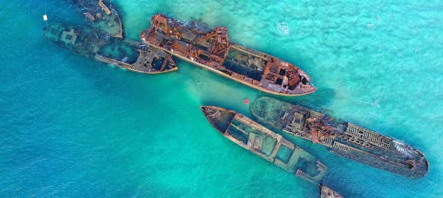 Excursión de 2 días a Moreton Island