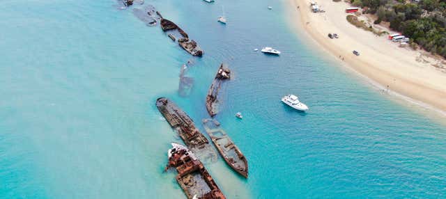 Excursión a Moreton Island