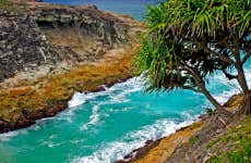 Excursión a Stradbroke Island