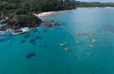 Tour de caiaque por Byron Bay