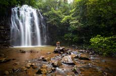 Excursão a Atherton Tablelands