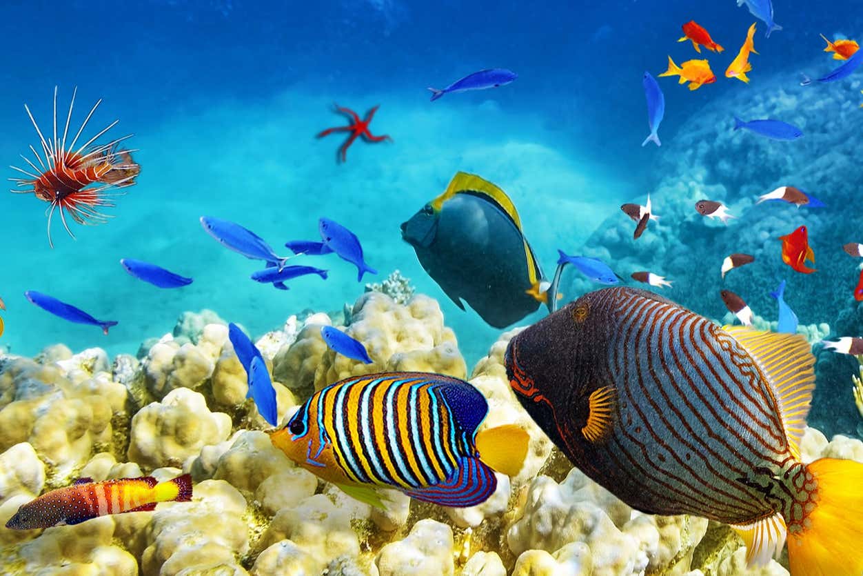 Foto de la experiencia