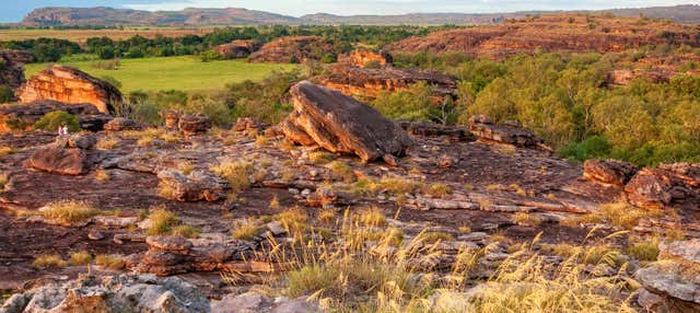 kakadu national park day trip from darwin book at civitatis com