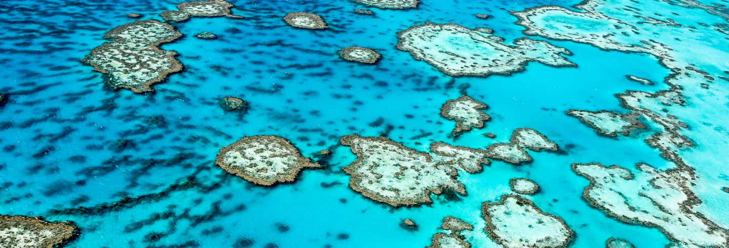 Excursión de 3 días a la Gran Barrera de Coral