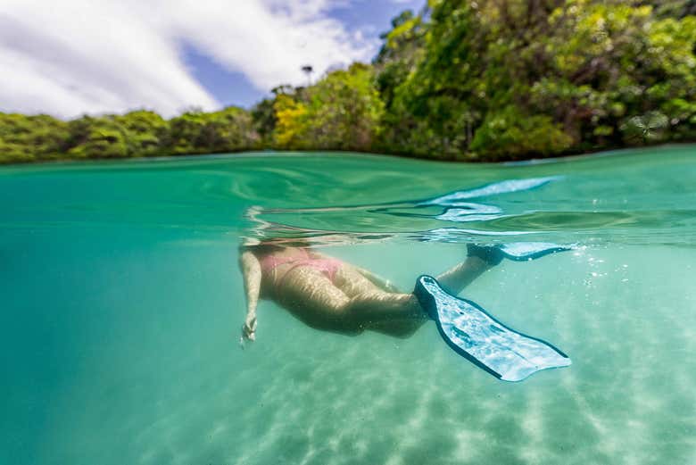 Tour en kayak + Snorkel en Gold Coast Reserva en