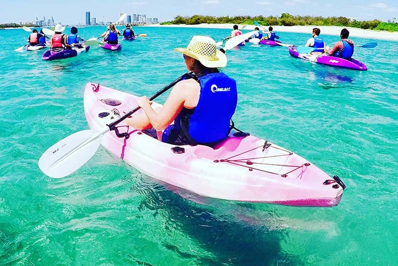 Tour en kayak + Snorkel en Gold Coast Reserva en