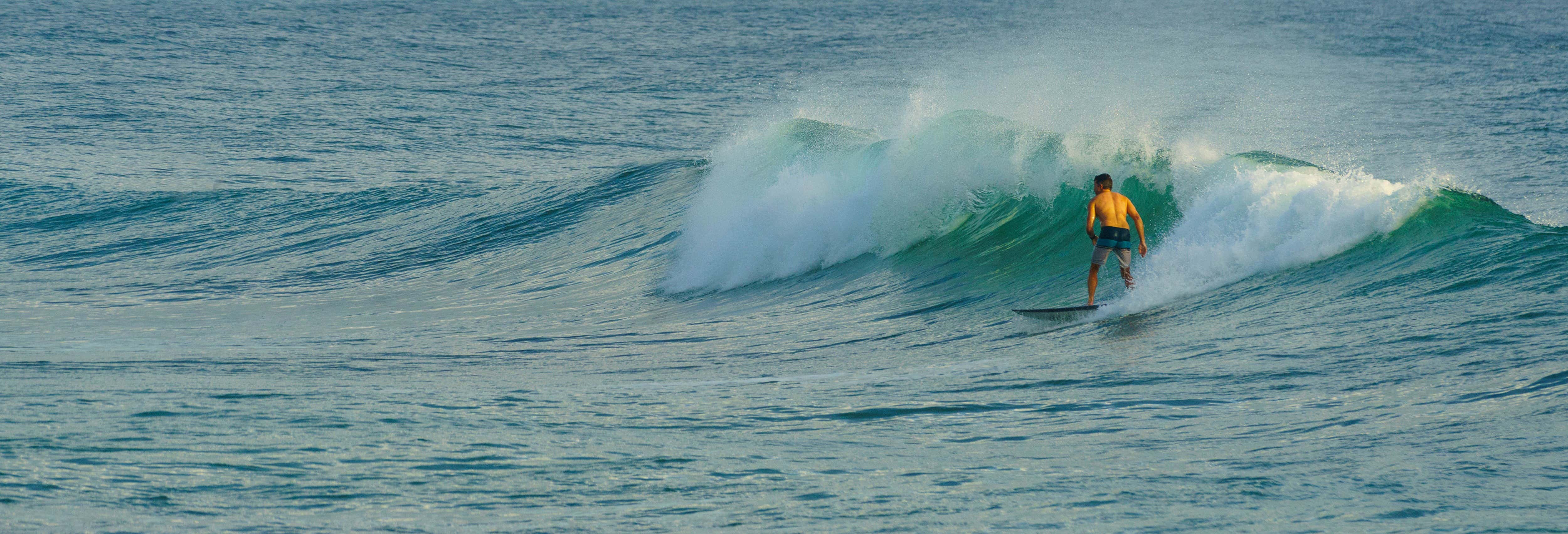 Gold Coast Surfing Adventure