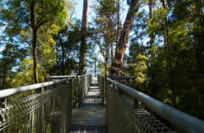 Excursion dans la vallée de Huon et aux grottes d'Hastings