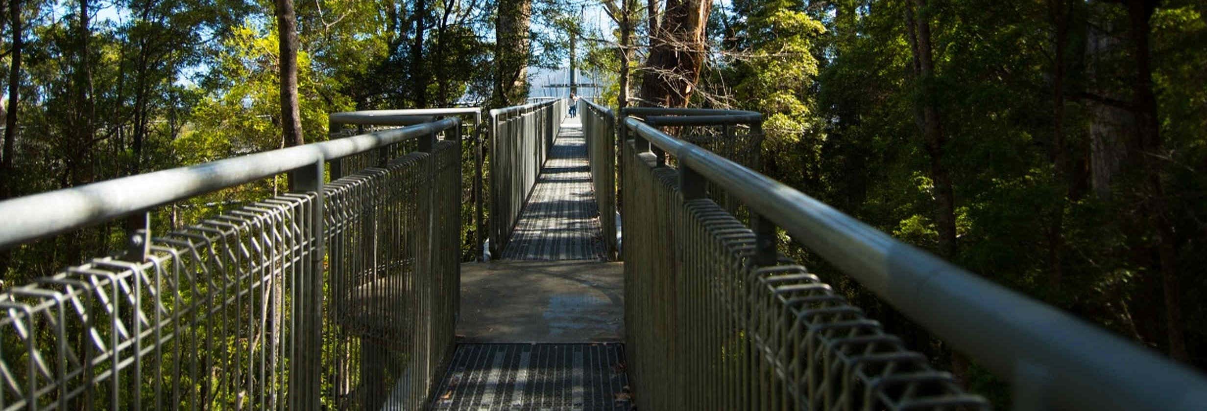 Excursión al valle de Huon y cuevas Hastings