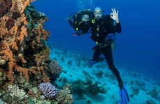 Bautismo de buceo en la isla de Lord Howe