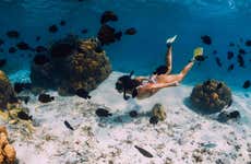 Snorkel en la isla de Lord Howe