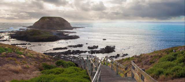 Excursión a la Isla Phillip