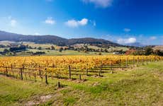 Tour de vinhos e gastronomia pelo Yarra Valley