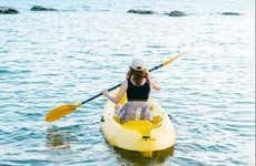 Dolphin View Kayak Tour