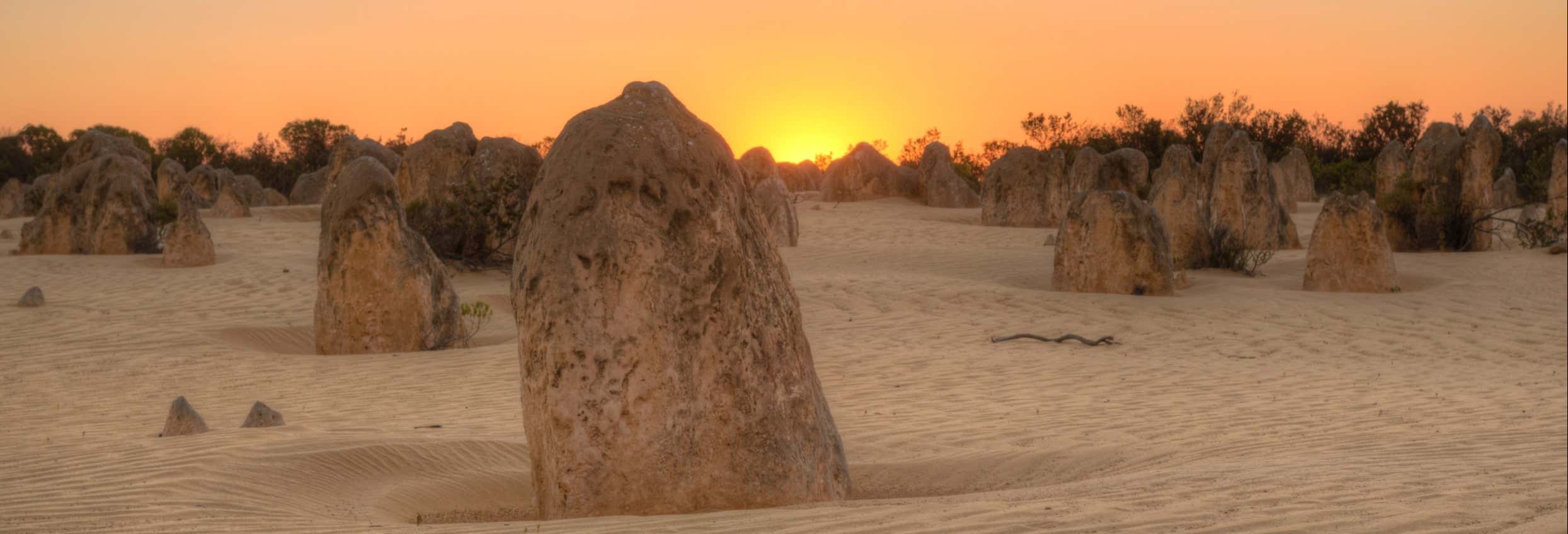 Escursione al Deserto dei Pinnacoli