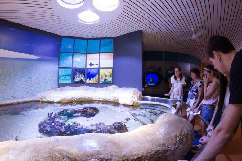L'aquarium à Perth