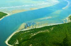 Excursão a Daintree, Mossman Gorge e Cape Tribulation