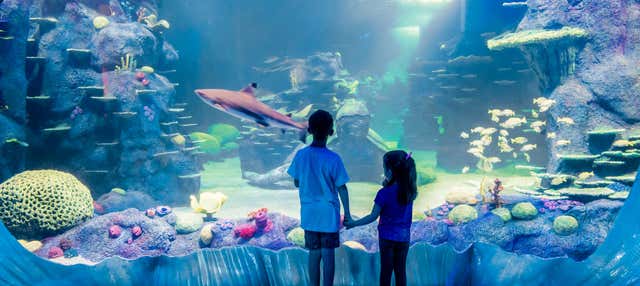 Entrada al SEA LIFE® Sídney