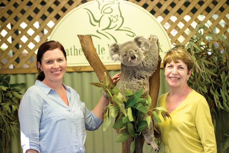 Koalas en el WILD LIFE Sídney