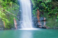 Excursión a las cascadas Mayan King