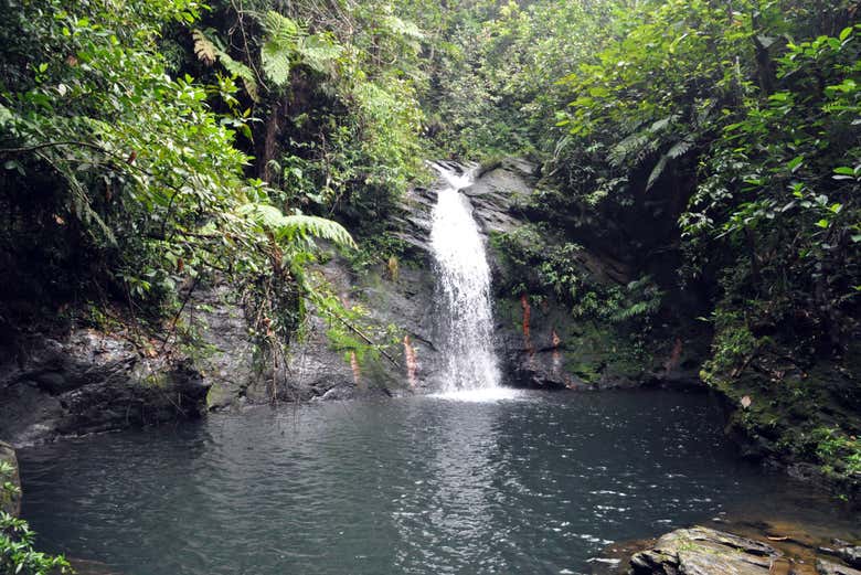 Cascada de la reserva de Cockscomb, en Belice - Cascada de la reserva de Cockscomb, en Belice