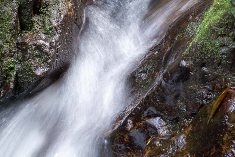 Mayan King Waterfalls Torrent - Mayan King Waterfalls Torrent