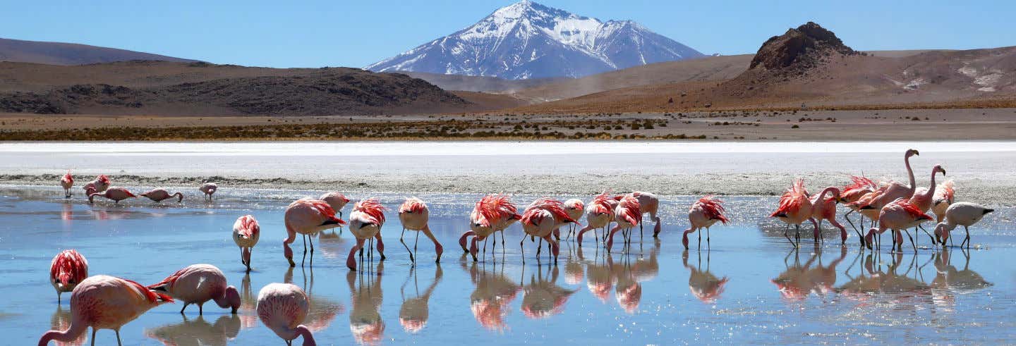 Circuito de 9 días por Bolivia