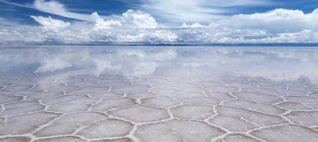 Excursión de 5 días a Uyuni