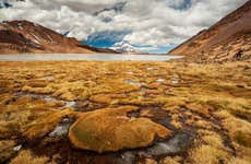 Excursión de 2 días al Parque Nacional Sajama