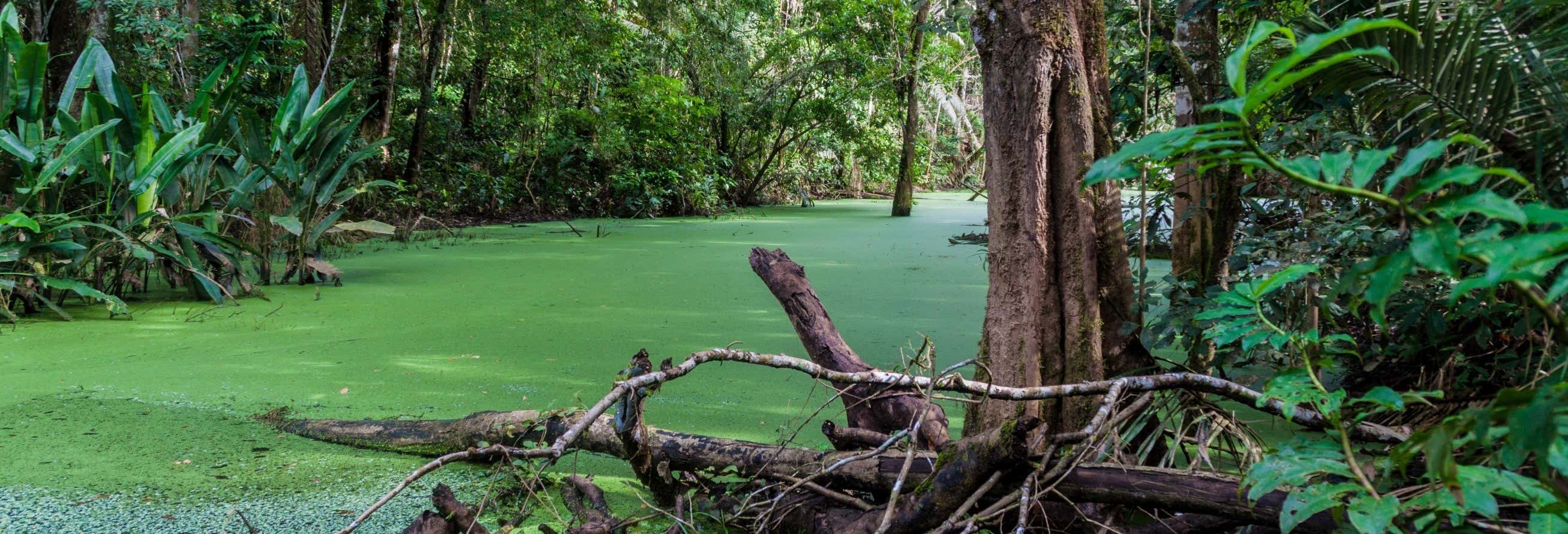 Parco Nazionale Madidi e Pampas del Yacuma in 5 giorni