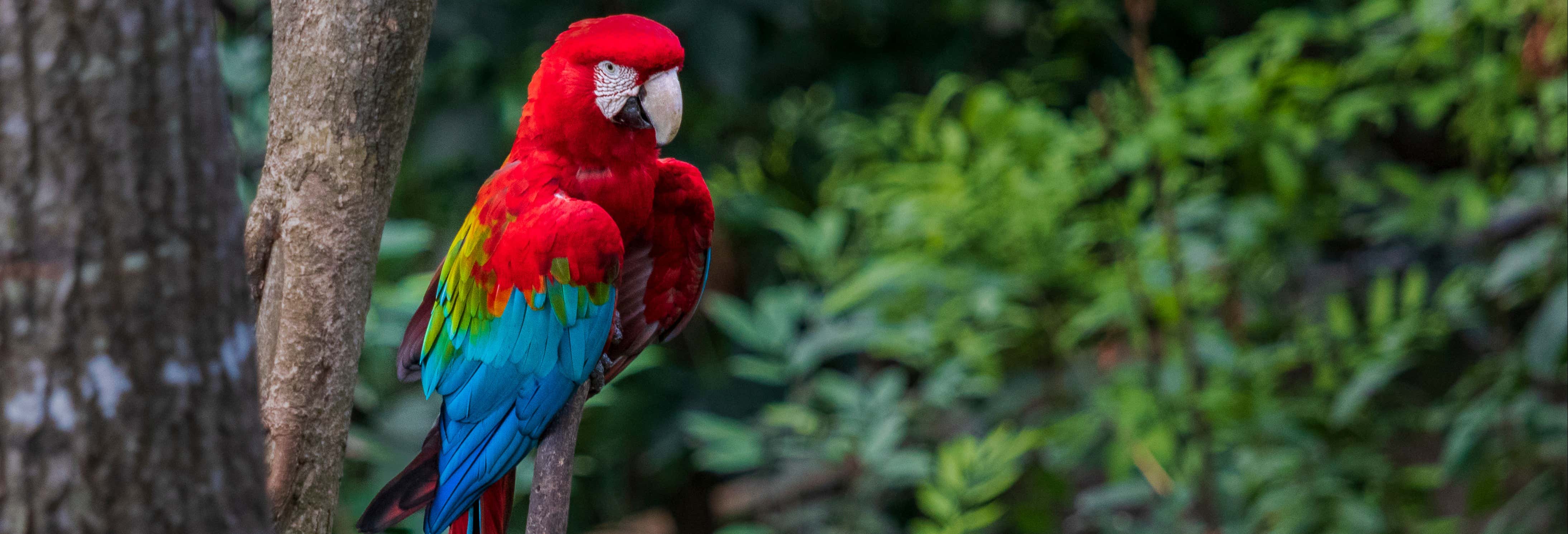Excursão ao Biocentro Güembé