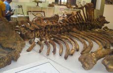 Museu Paleontológico e Arqueológico + vale dos Gigantes