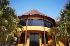 Visita guidata del Museo Kenneth Lee