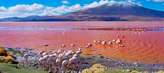 Excursion de 4 jours d'Uyuni jusqu'à La Paz