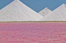 Tour panorámico por Bonaire