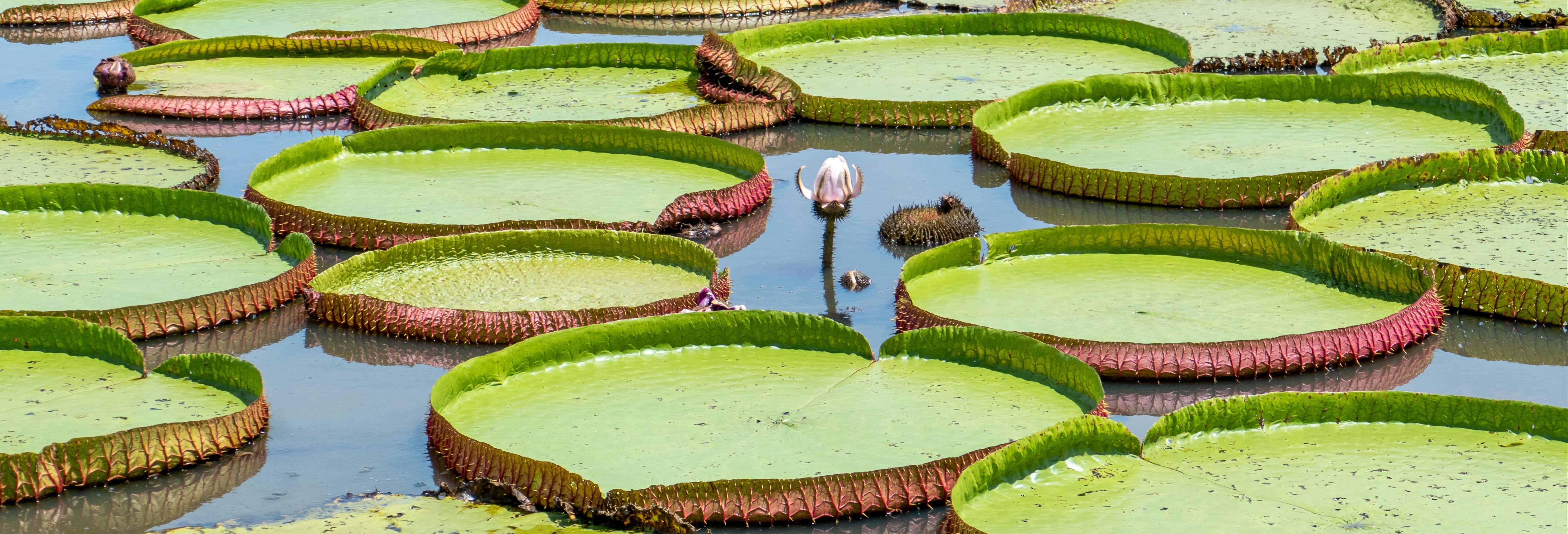Tour por el lago do Maicá
