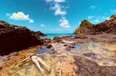 Snorkel nas piscinas naturais de Fernando de Noronha
