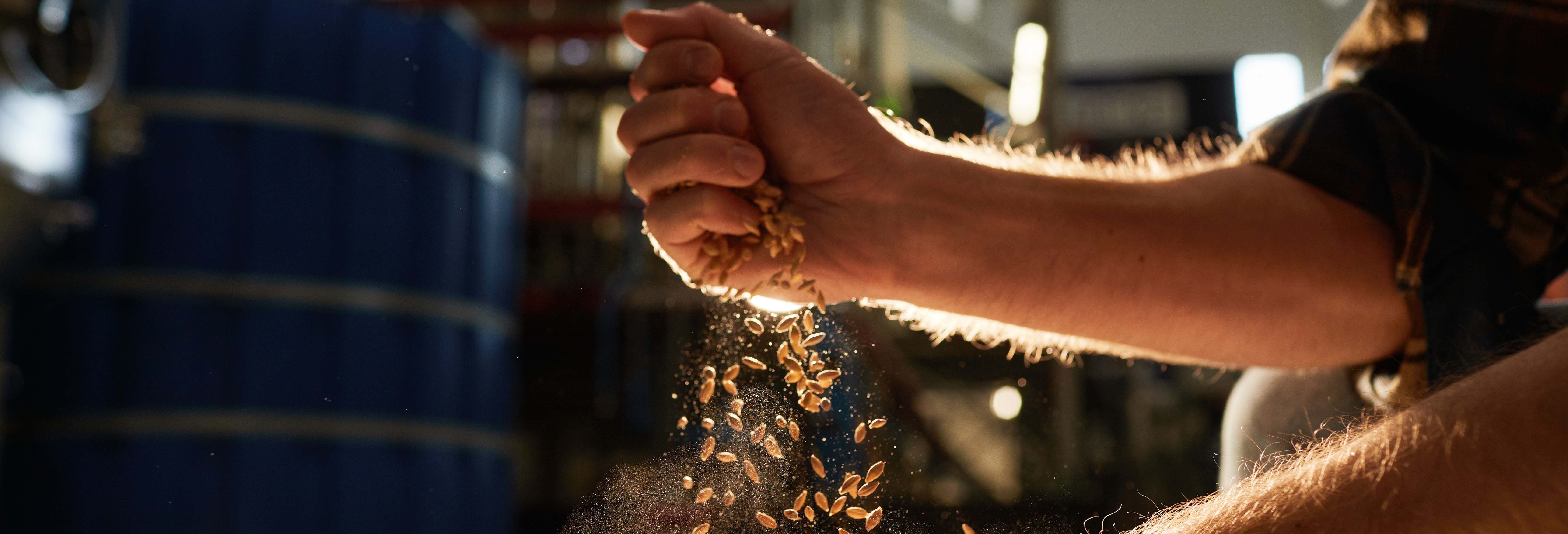 Visita al birrificio 277 Craft Beer