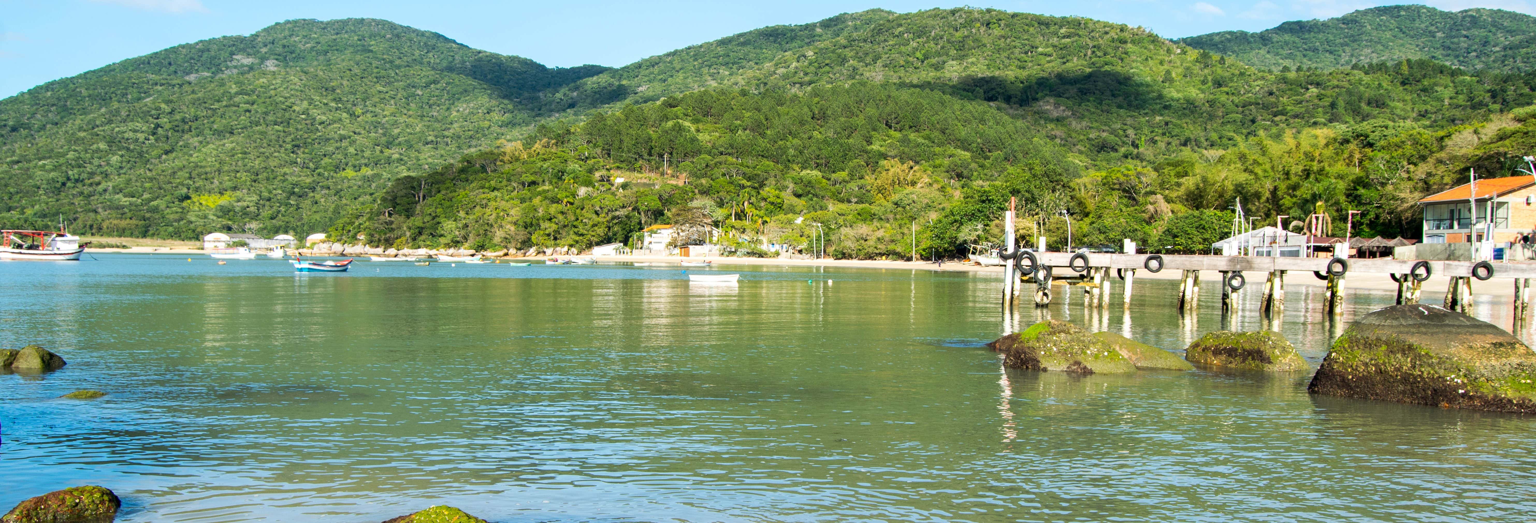 Excursão à baía dos Golfinhos e praia de Palmas
