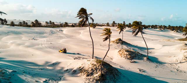 Tour por el oeste de Jericoacoara