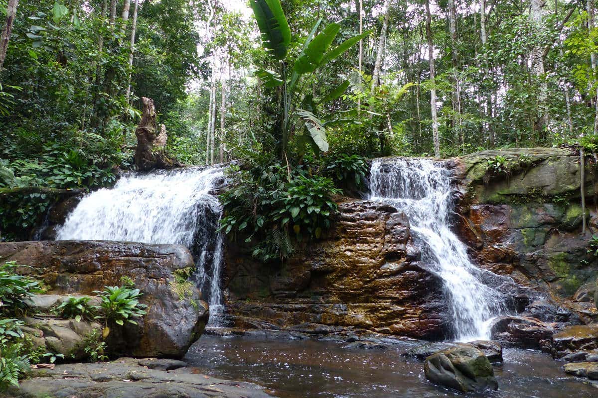 Excursion Aux Cascades D'Amazonie Depuis Manaus - Civitatis.com