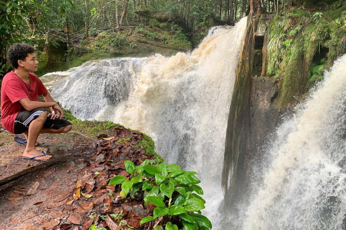 Excursion Aux Cascades D'Amazonie Depuis Manaus - Civitatis.com