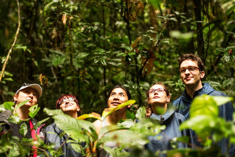 Explorando a floresta amazônica