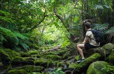Tour de 3 días por la selva amazónica