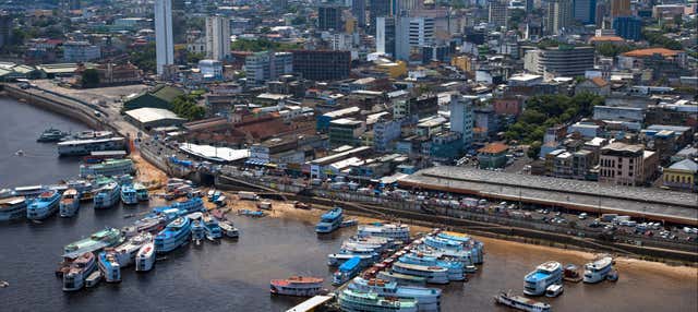 Visite autour du caoutchouc à Manaus