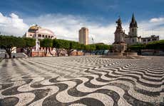 Tour por Manaus